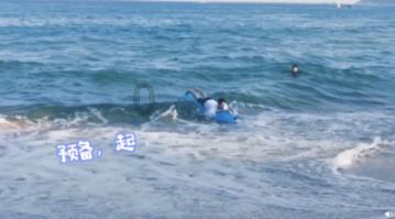 玫瑰多肉休眠期种上要浇水吗？